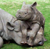RAGE thwarts rhino poachers